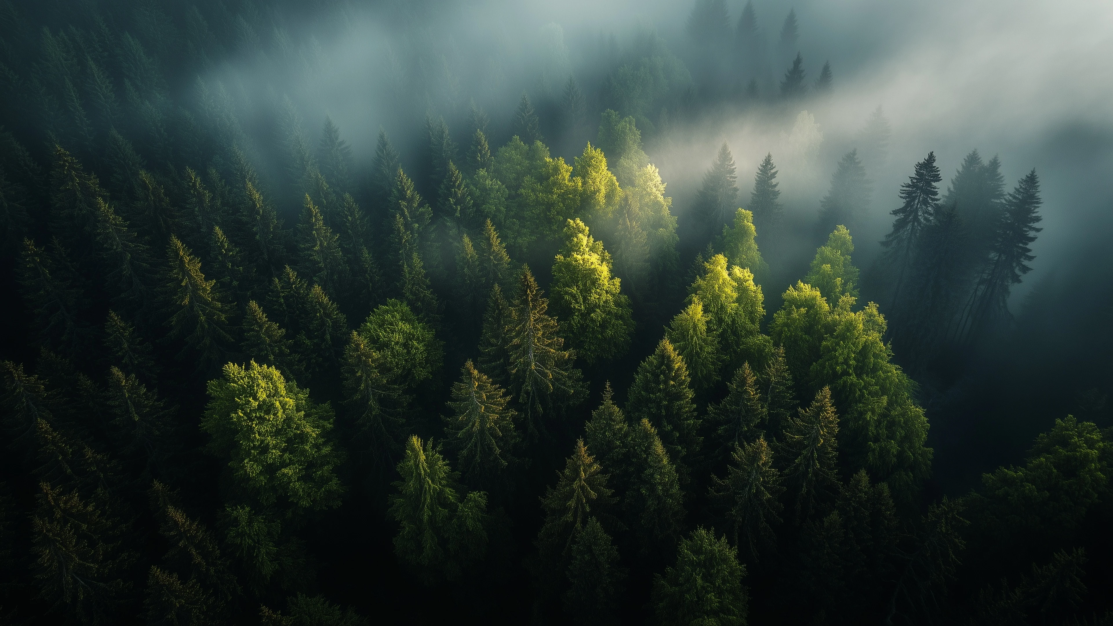 /images/sustainability/overview/kv